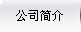公司简介